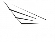 Logo White Wings Hanau
